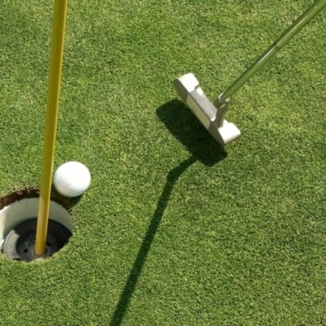 Golden Oak Golf Course - Photo 2
