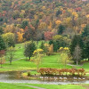Golden Oak Golf Course - Photo 4